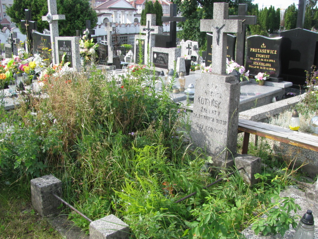 Grób Tadeusz Kotyński