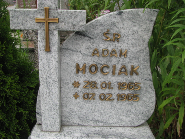 Adam Mociak 1965 Białystok św. Rocha - Grobonet - Wyszukiwarka osób pochowanych