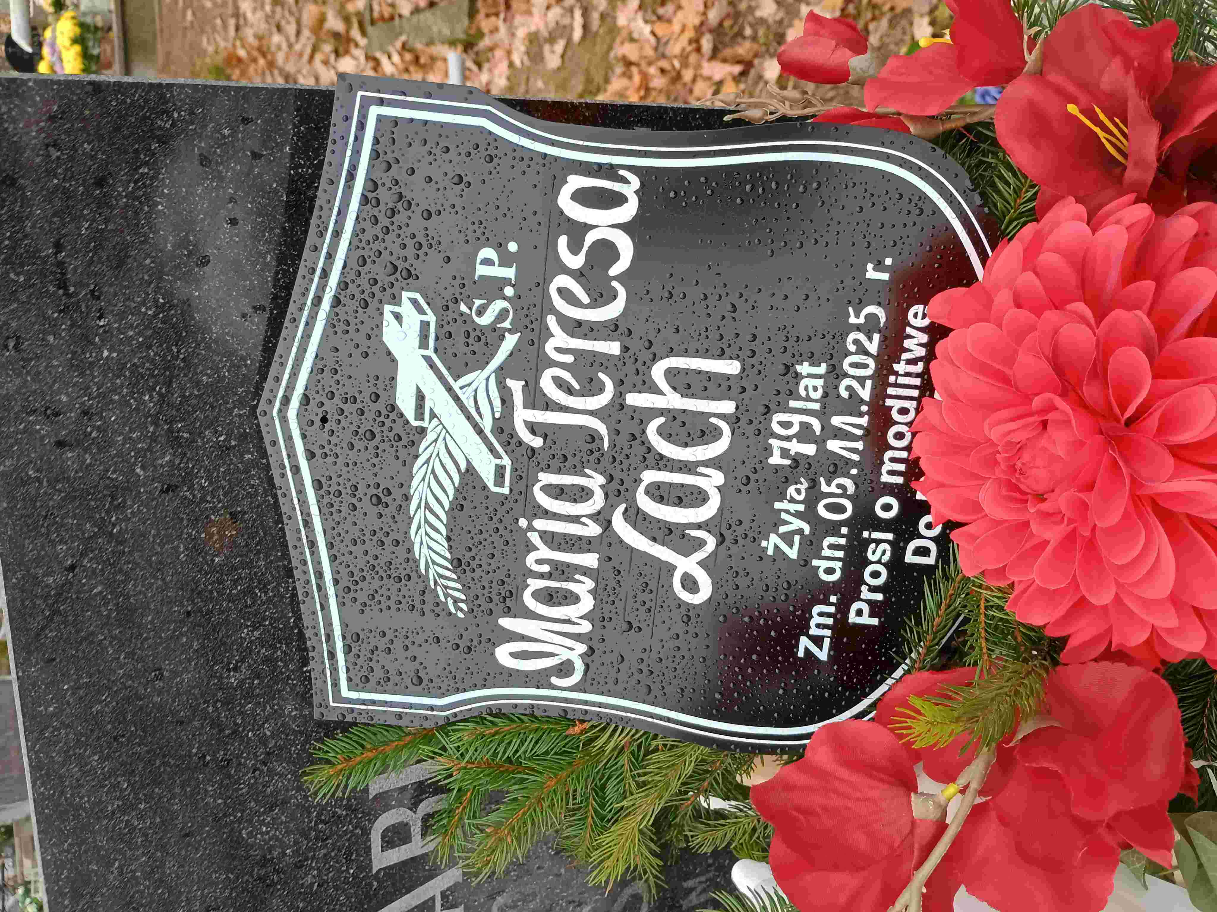 Grób Maria Teresa Lach