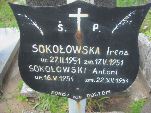 Antoni Sokołowski 1954 Białystok św. Rocha - Grobonet - Wyszukiwarka osób pochowanych