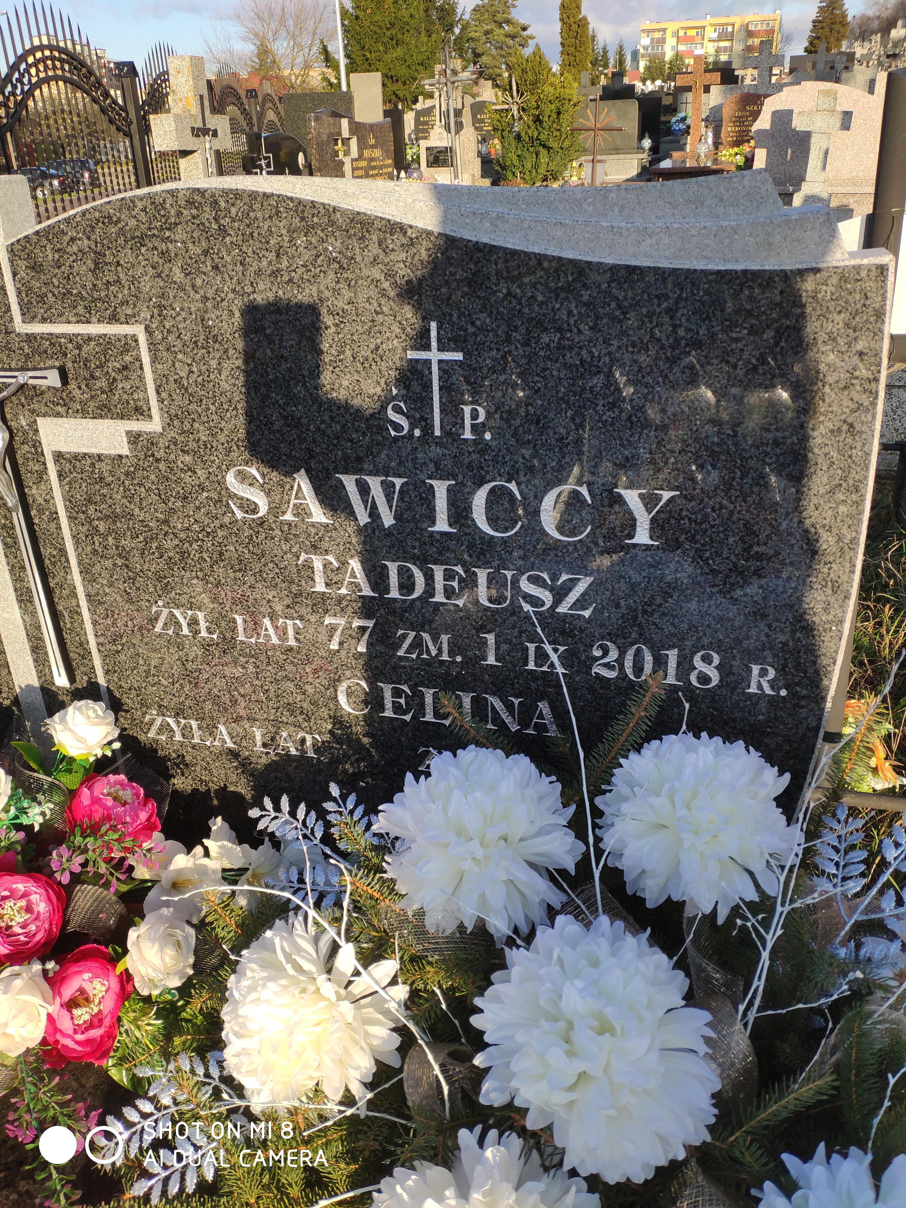 Grób Tadeusz Sawicki