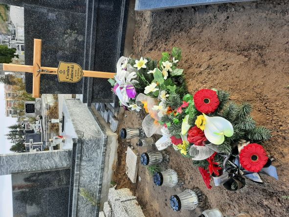 Czesław Zaniewski 1938 Białystok św. Rocha - Grobonet - Wyszukiwarka osób pochowanych