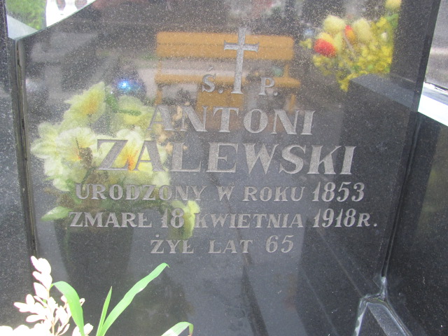 Michał Zalewski 1888 Białystok św. Rocha - Grobonet - Wyszukiwarka osób pochowanych