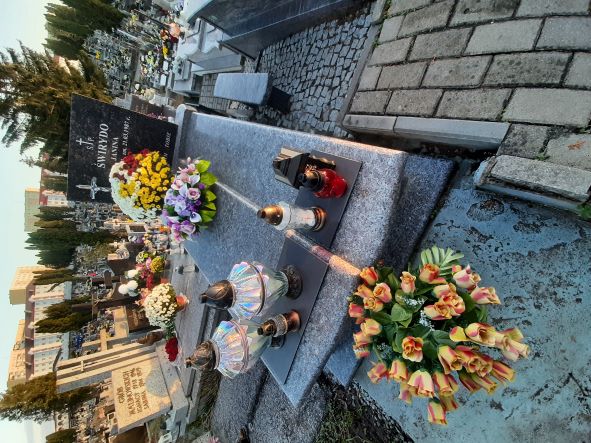 Grób Janina Świrydo