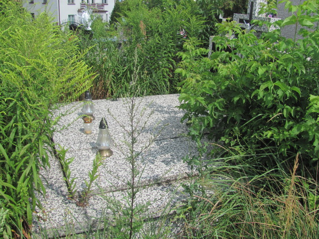 Grób Stanisław Sienkiewicz